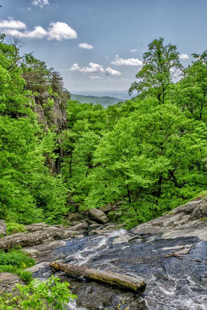 51今日大瓜 每日大赛往期内容官方版-51今日大瓜 每日大赛往期内容最新版页面3
