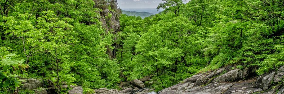 热门51今日大瓜 每日大赛往期内容官方版-51今日大瓜 每日大赛往期内容最新版推荐
